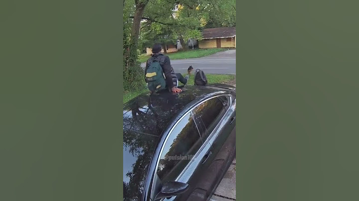Dog Chases Kid *Jumps on Neighbor's Car*