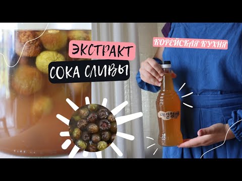 Корейский Домашний Экстракт Сока Сливы Рецепт Homemade Plum Extract Recipe 매실청 만들기