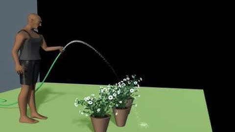 Dynamic Water Simulation | Maya 3D Video