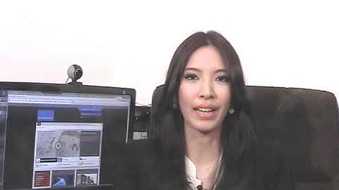 Netforce Training And Implementation Programs ภาษาไทย