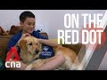 CNA | On The Red Dot | S8 E30: Our lives with dogs - Paws that heal