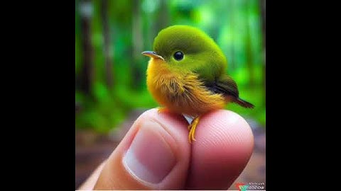 تلاوة جميلة جدا جدا تريح النفس و تملأها طمأنينة و سكونا بصوت الشيخ ياسر الدوسري #اكسبلور #القران