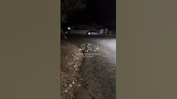لنتمشى ونستمع 🎧🚶‍♂️… اكتب شيء تؤجر عليه…‎#اكسبلور #tree #قرآن #street #سورة_الزمر #محمد_اللحيدان