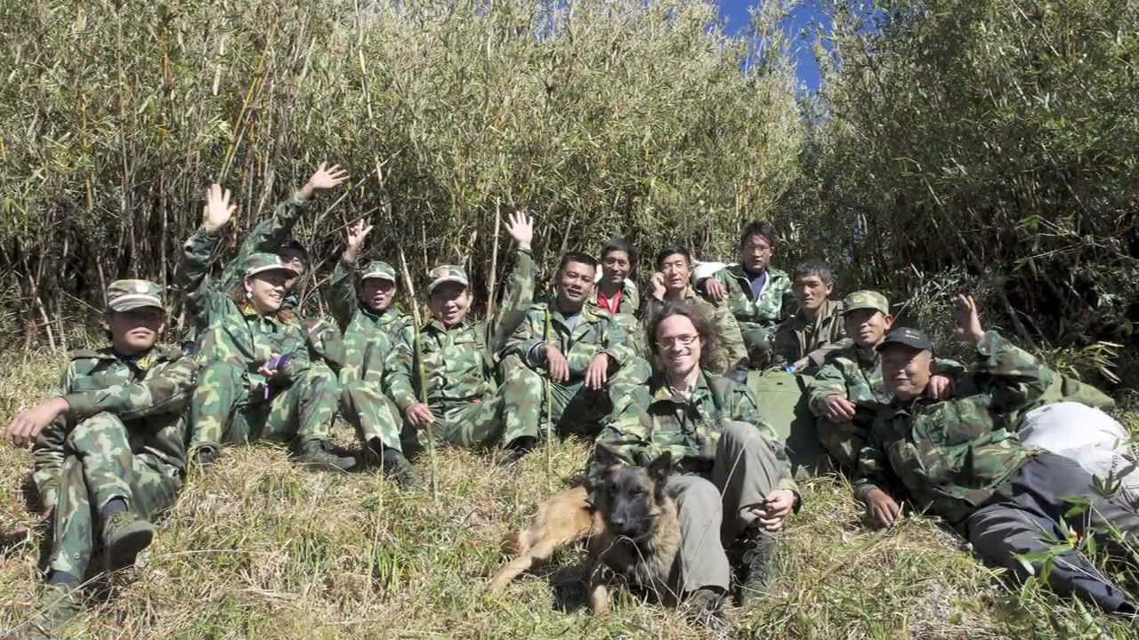 Scat-sniffing dog works to save endangered primates