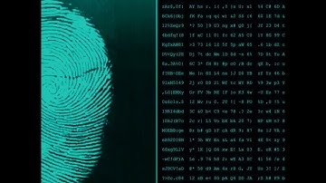 Blockchain and Identity