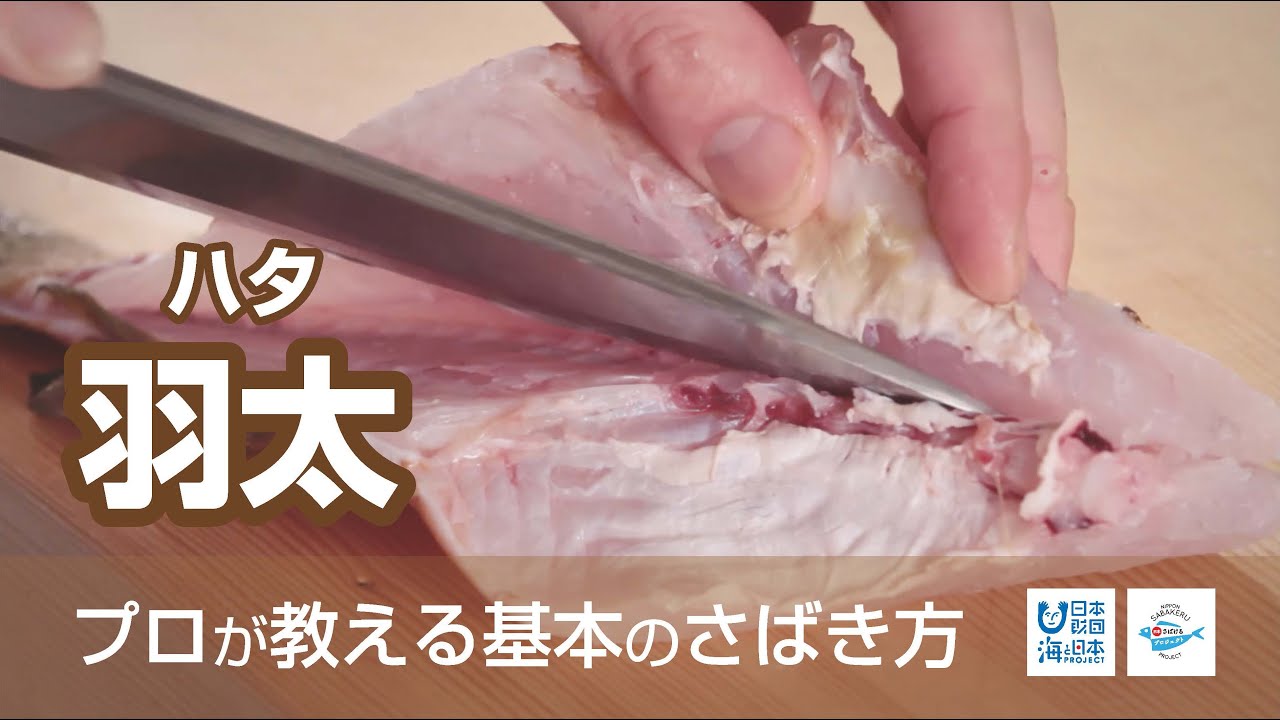 釣れる高級魚 オオモンハタ その釣り方と絶品料理にする食べ方をご紹介 暮らし の