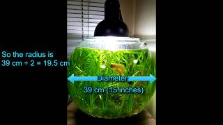 Aquarium Volume Calculator - Also for Fishbowls