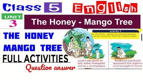 Class5 English The Honey Mango Tree Activities|class 5 english the honey mango tree question answer