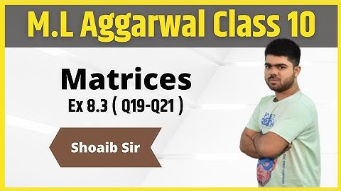 Class 10 | M.L  Aggarwal | Matrices | Ex 8.3 | Part 07