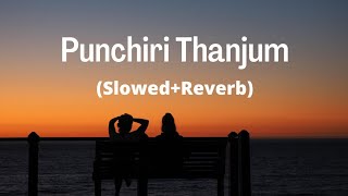 Punchiri Thanjum (Slowed+Reverb) Full song From Bicycle Thieves Malayalam filim