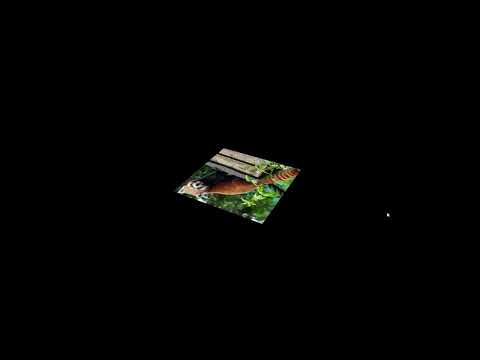 Motion and Image Loading - Learning Vulkan