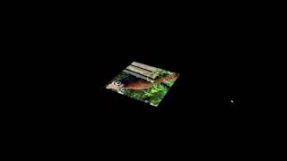 Motion and Image Loading - Learning Vulkan