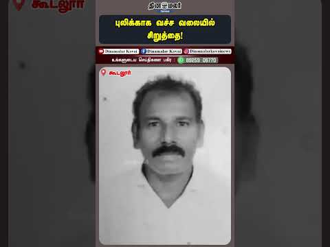 புலிக்காக வச்ச வலையில் சிறுத்தை!