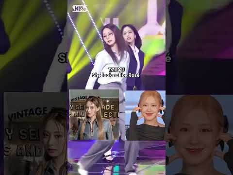 Let's see which blackpink members do twice's members look alike