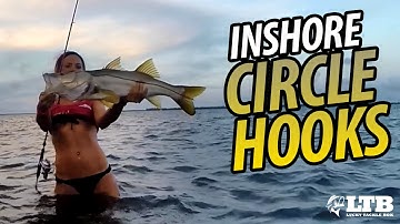 How to Fish Inshore Circle Hooks: Lucky Tackle Box Tips