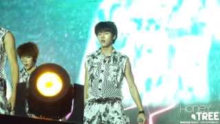 131006 강남 한류페스티벌 - REQUEST INFINITE WOOHYUN 5multi ver