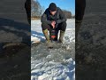 Eisangeln: Riesenkarpfen fangen #fishing #winter #carpfishin #carpfishing  #angeln #karpfen