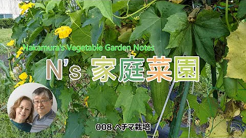 ヘチマ Mp3
