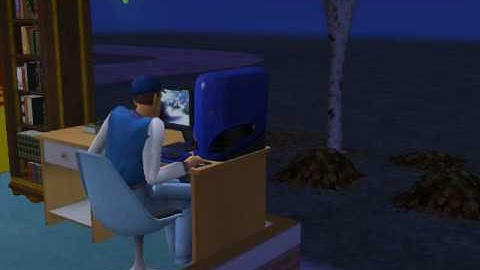 Sim Playing SSX 3