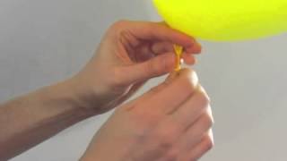 Balloon Cups and Balloon Sticks | BalloonsAndWeights.com
