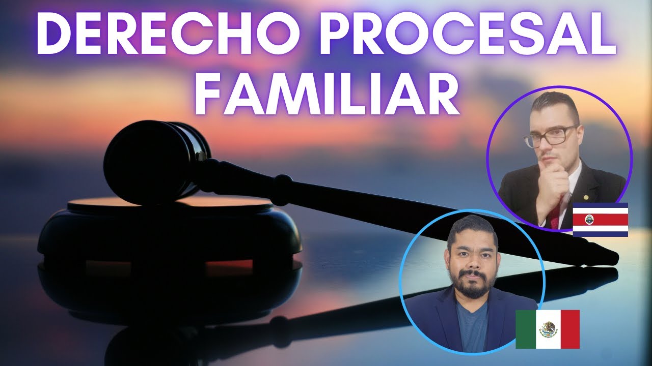 Derecho Procesal Familiar - Roy Stuart Abogado