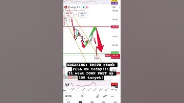 BREAKING: $MSTR stock FELL 8% today!!! It went DOWN PAST my 300 target!