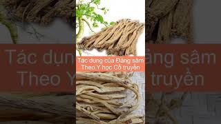 Effects Of Dang Sam Medicine According To Traditional Medicine