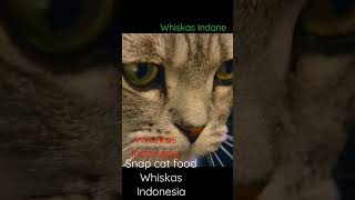 Whiskas Indonesia whiskas Indonesia whiskas Indonesia whiskas Indonesia whiskas Indonesia