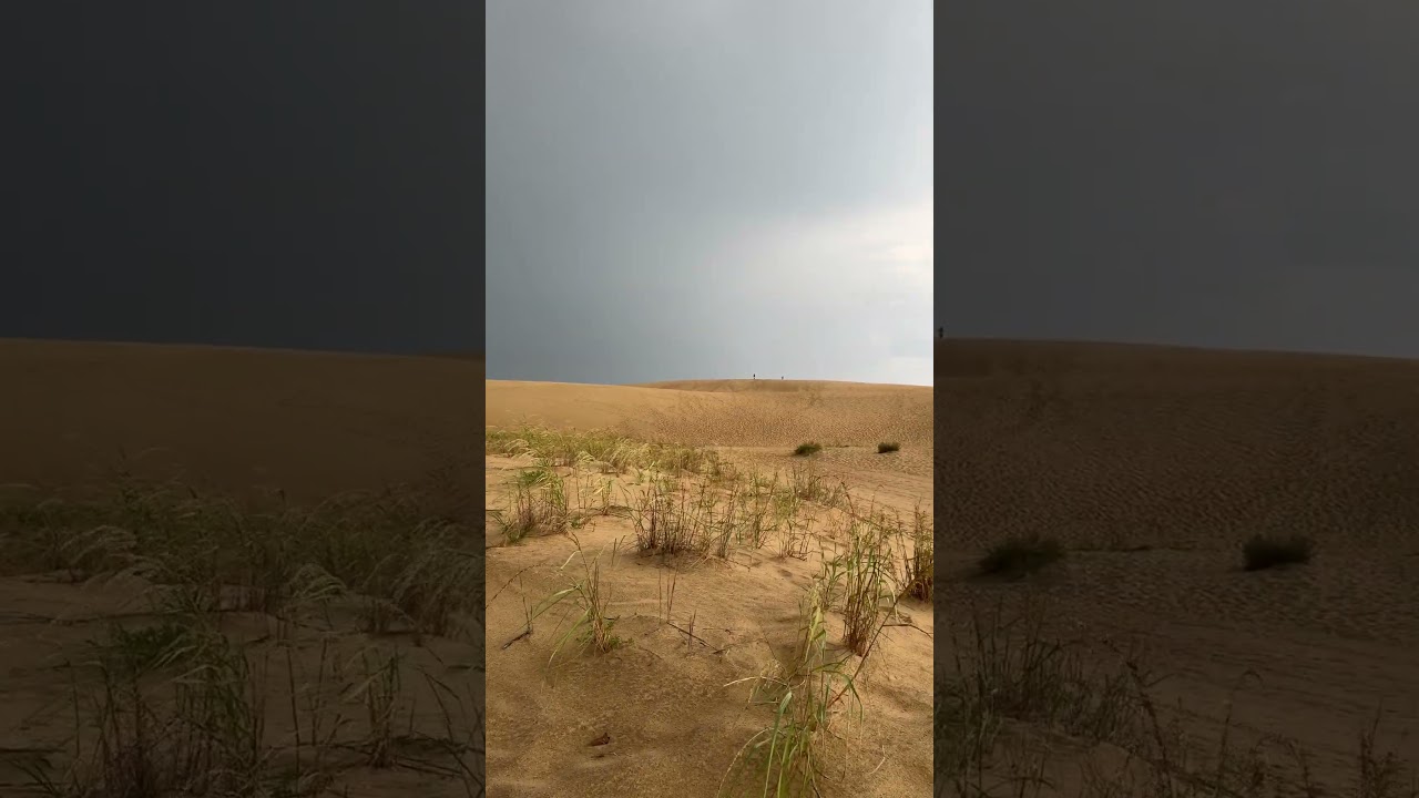 Outer Banks Sand Dunes