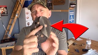 How to change your orbital sanding hook and loop pad (very easy!) Net Worth