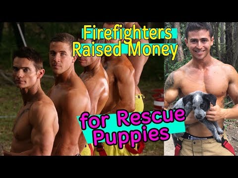 Видео: Пожарные без рубашки позируют со щенками на австралийский календарь пожарных на 2019 год