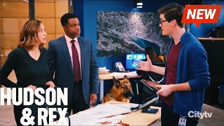Hudson and Rex 2024 🔥🔥 Dancer, Traitor, Shepherd, Spy 🔥🔥 Full Episode Series 2024 New