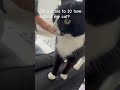 How cute?