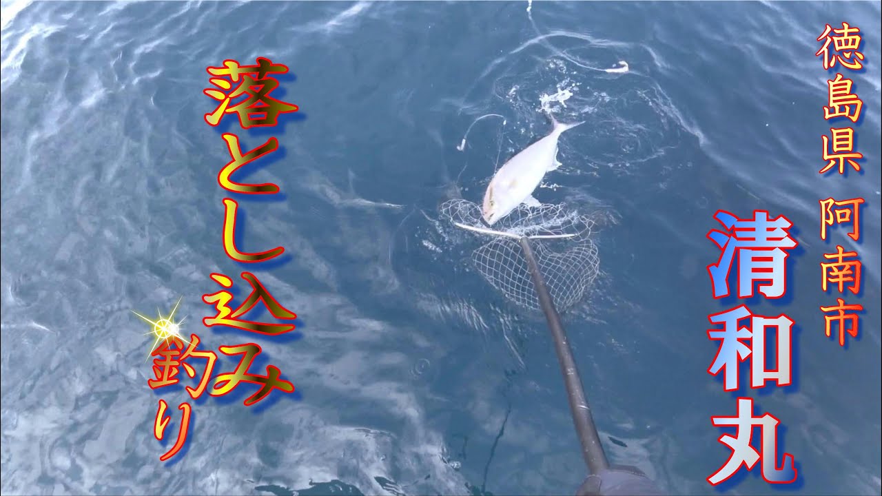 2023/11/15　徳島県阿南市の清和丸さんにて落とし込み釣りを楽しんできました! （前編）