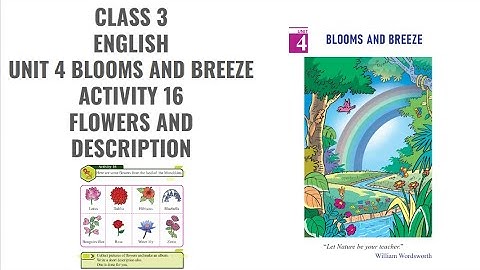 CLASS 3 ENGLISH UNIT 4 BLOOMS AND BREEZE ACTIVITY 16 EXPLANATION IN MALAYALAM FLOWERS  DESCRIPTION