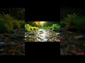 full video👉https://youtu.be/ugBNCCU39CQ    #relaxation #relax #peacefulwaves #natureasmr #relaxing