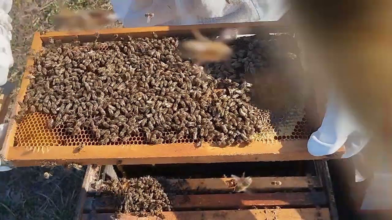 28.02.2026 PRVI PREGLED DRUSTVA