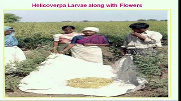 Mod-03 Lec-13 Ecological Methods of Pest Management - Mechanical