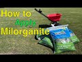 How to [APPLY MILORGANITE] to Your BERMUDA GRASS Lawn