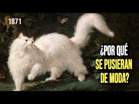 What happened in 1871 that made cats fashionable?