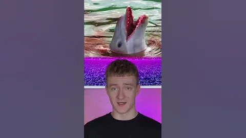 Почему дельфины Очень опасны