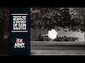 A History of Gun Salutes | Operation London Bridge | British Army