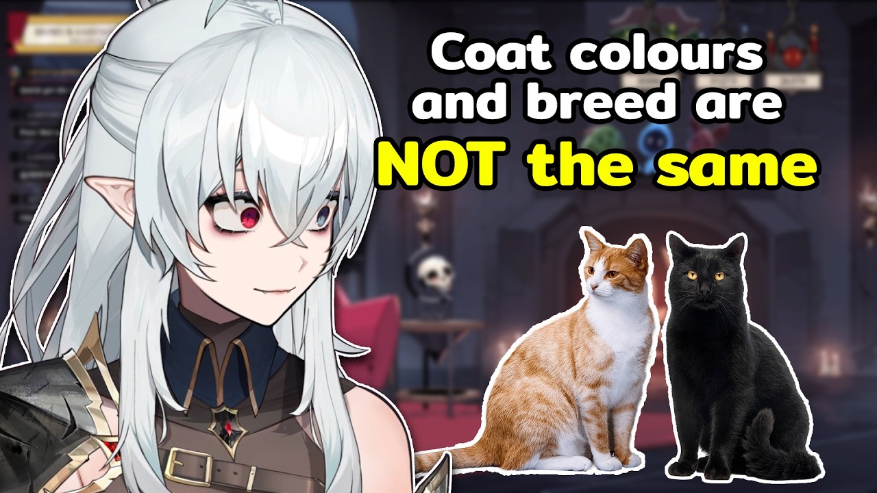 The cat breed rant - YouTube