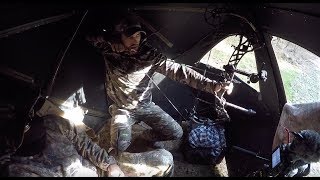 TurkeySeasonTeaser