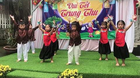 Cây đa quán dốc - lớp lá- mầm non Đảo Châu Báu