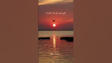 الشيخ ماهر المعيقلي #قران_كريم #راحة_نفسية #اكسبلور #تلاوة_خاشعة