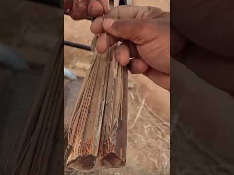 تجهيز مظلة من سعف النخل