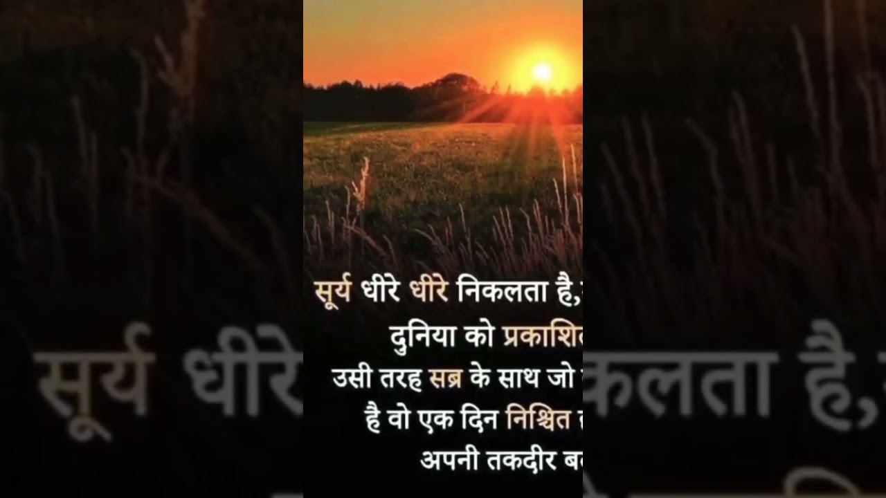 सब्र का फल मीठा 