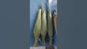 Harvest Fresh Dates Packing Pouch Desi .#nature #desi #datefruit #shorts #balochistan #organic #new