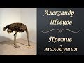 Александр Шевцов - Против малодушия